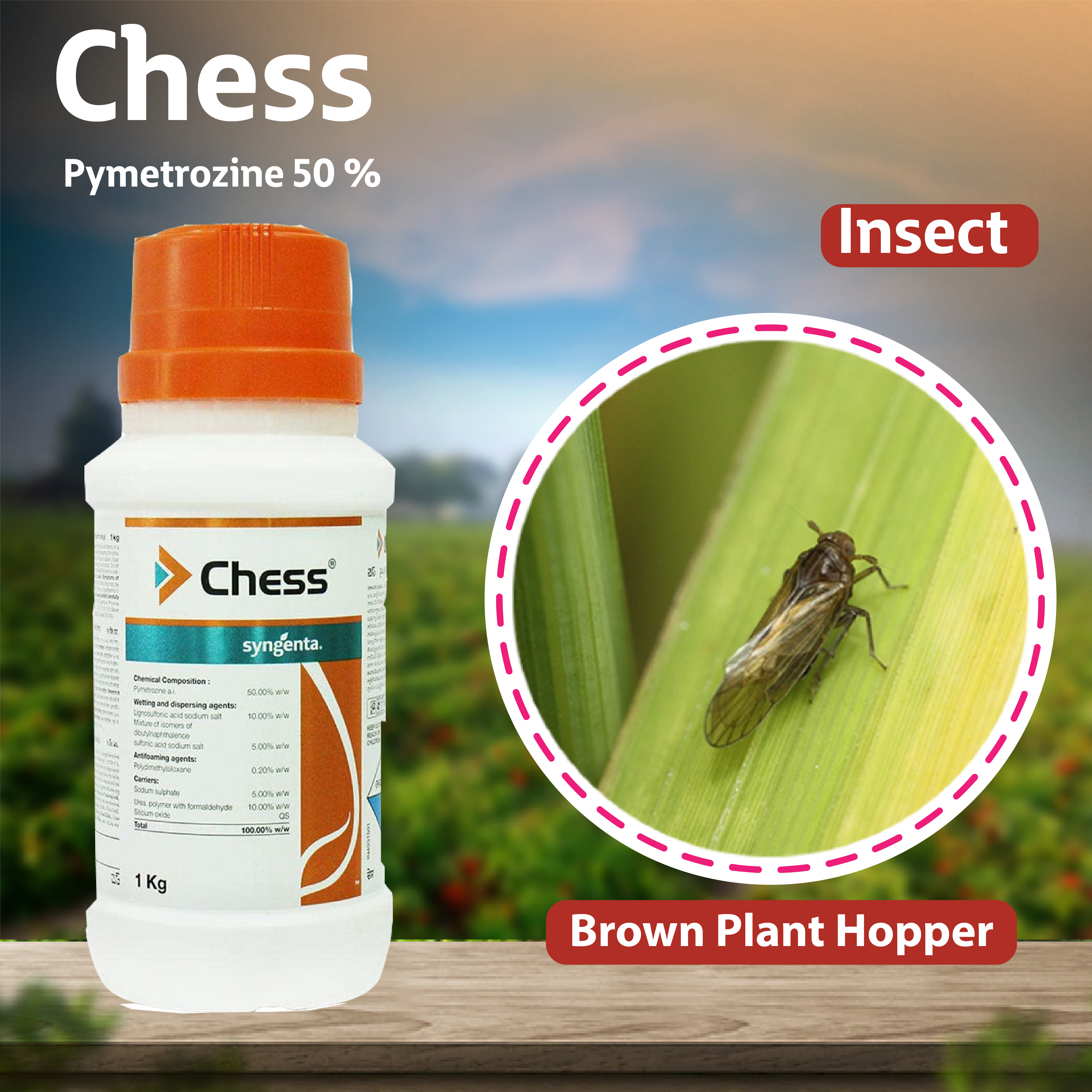 Syngenta Chess Insecticide – Agriplex