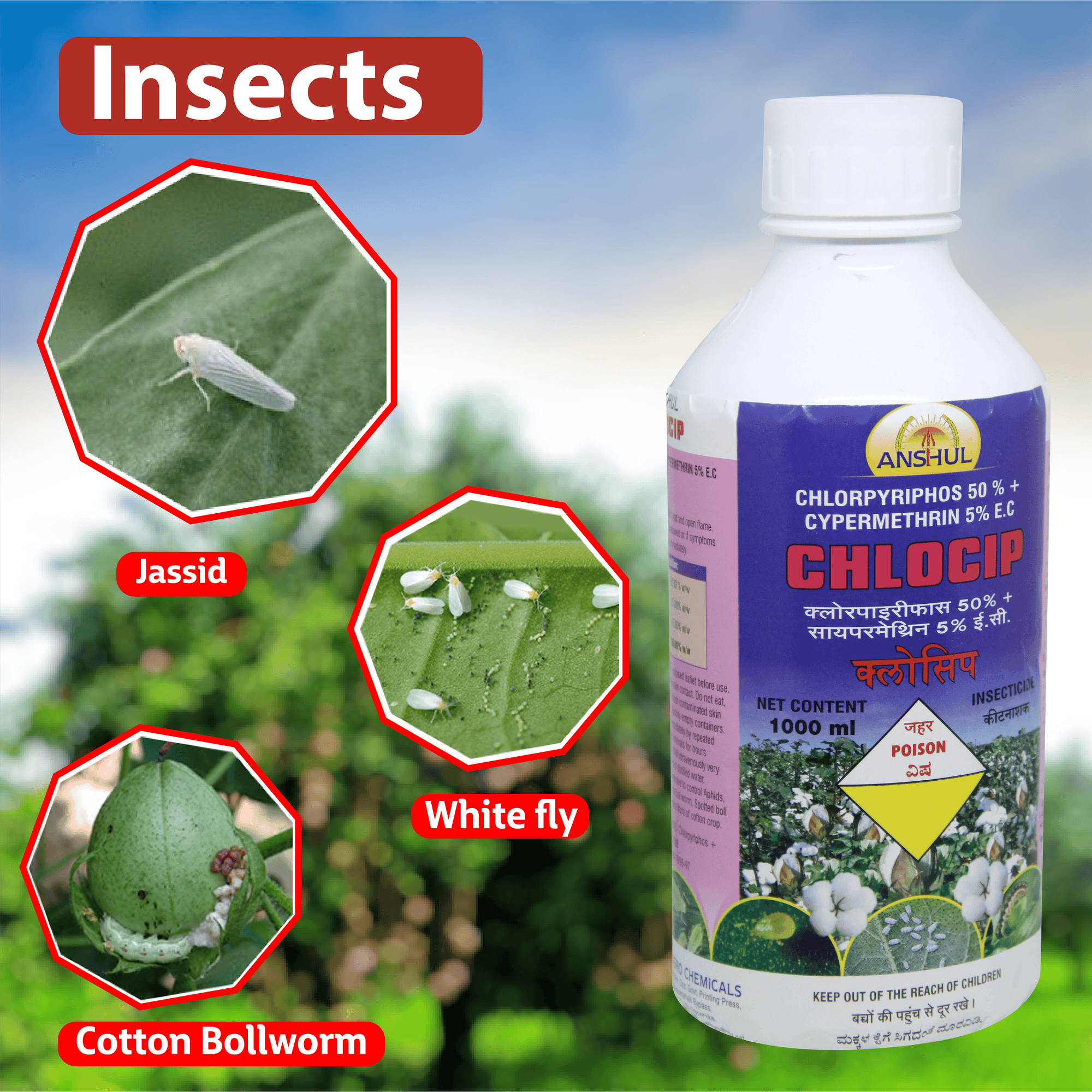Anshul Chlocip (Chlorpyriphos 50%+Cypermethrin 5%EC) Insecticide