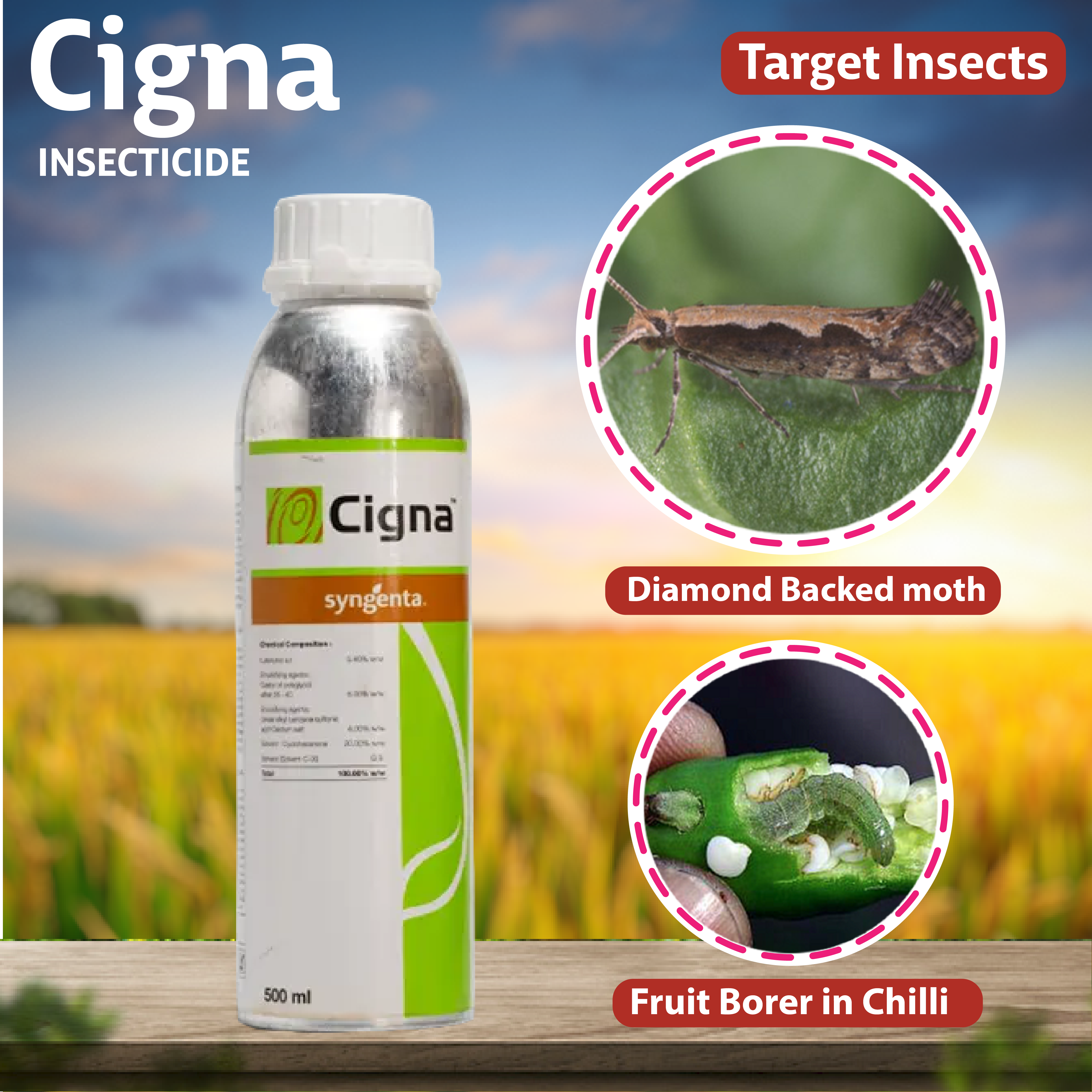 Syngenta Cigna Insecticide – Agriplex