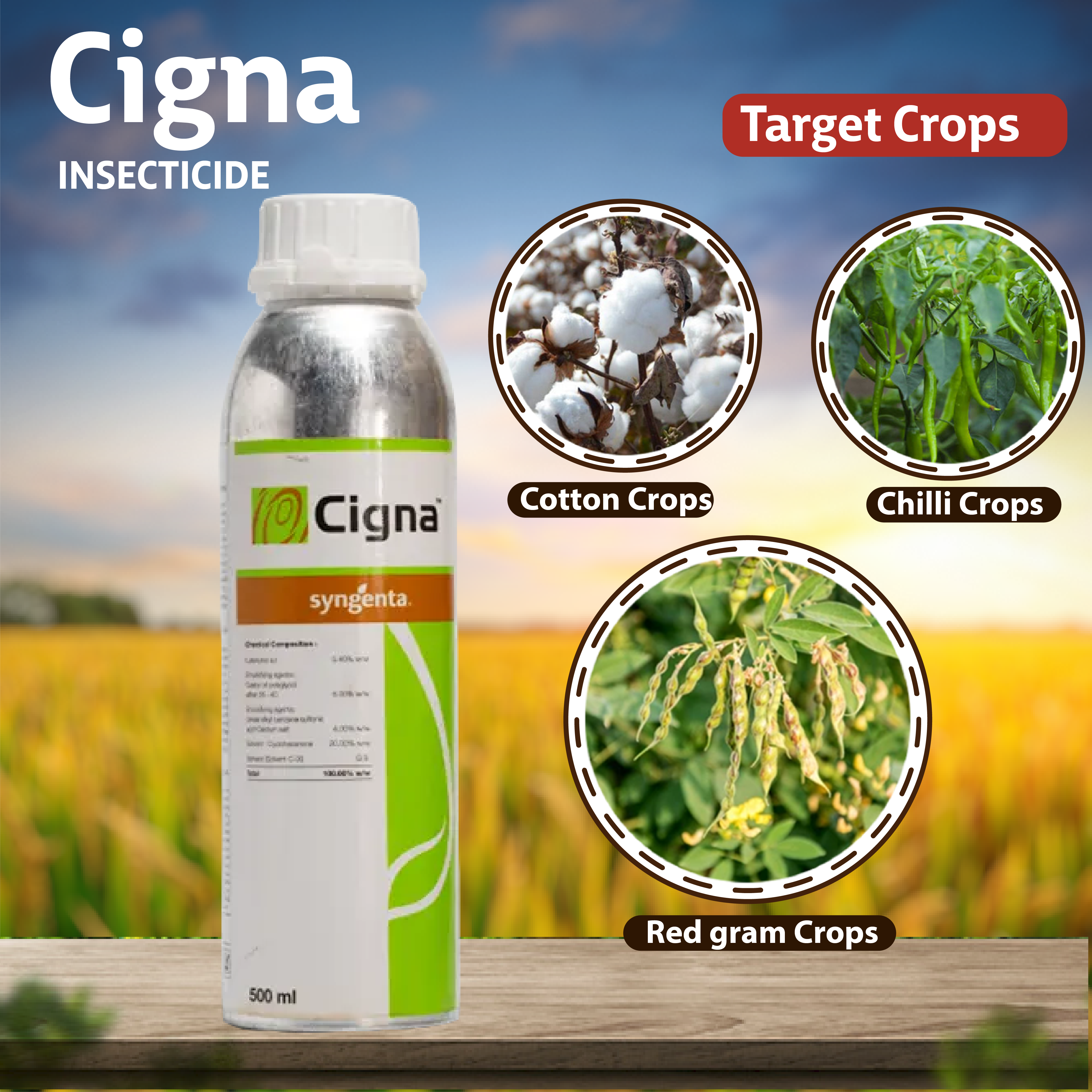 Syngenta Cigna Insecticide – Agriplex