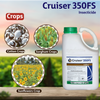 Cruiser 350FS Insecticide Syngenta Crops