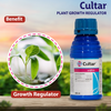 Syngenta Cultar Uses