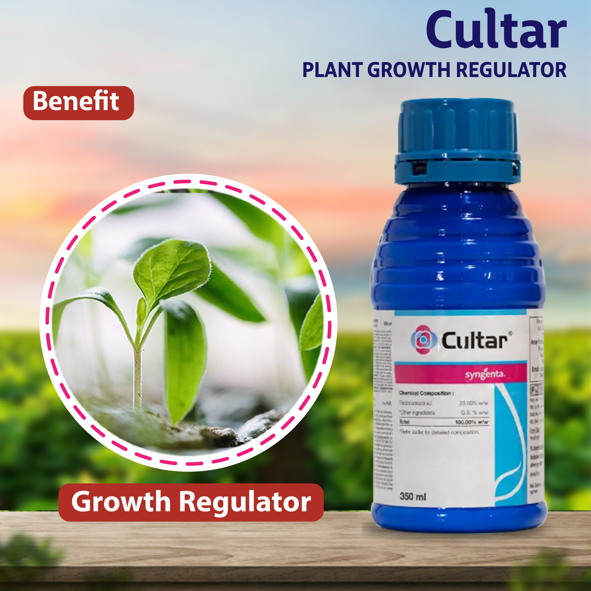 Syngenta Cultar Uses