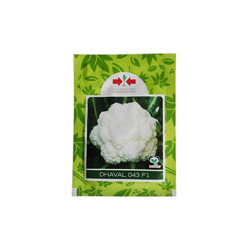 East West Dhaval 043 F1 Cauliflower Seeds - Agriplex
