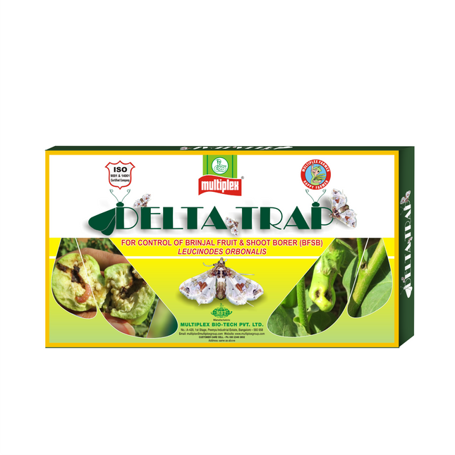 Multiplex Delta Trap For Brinjal Shoot & Fruit Borer