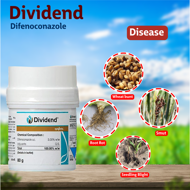 Dividend Fungicide Syngenta
