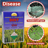 Anshul Dost (Carbendazim 12% + Mancozeb 63%) Fungicide Diseases