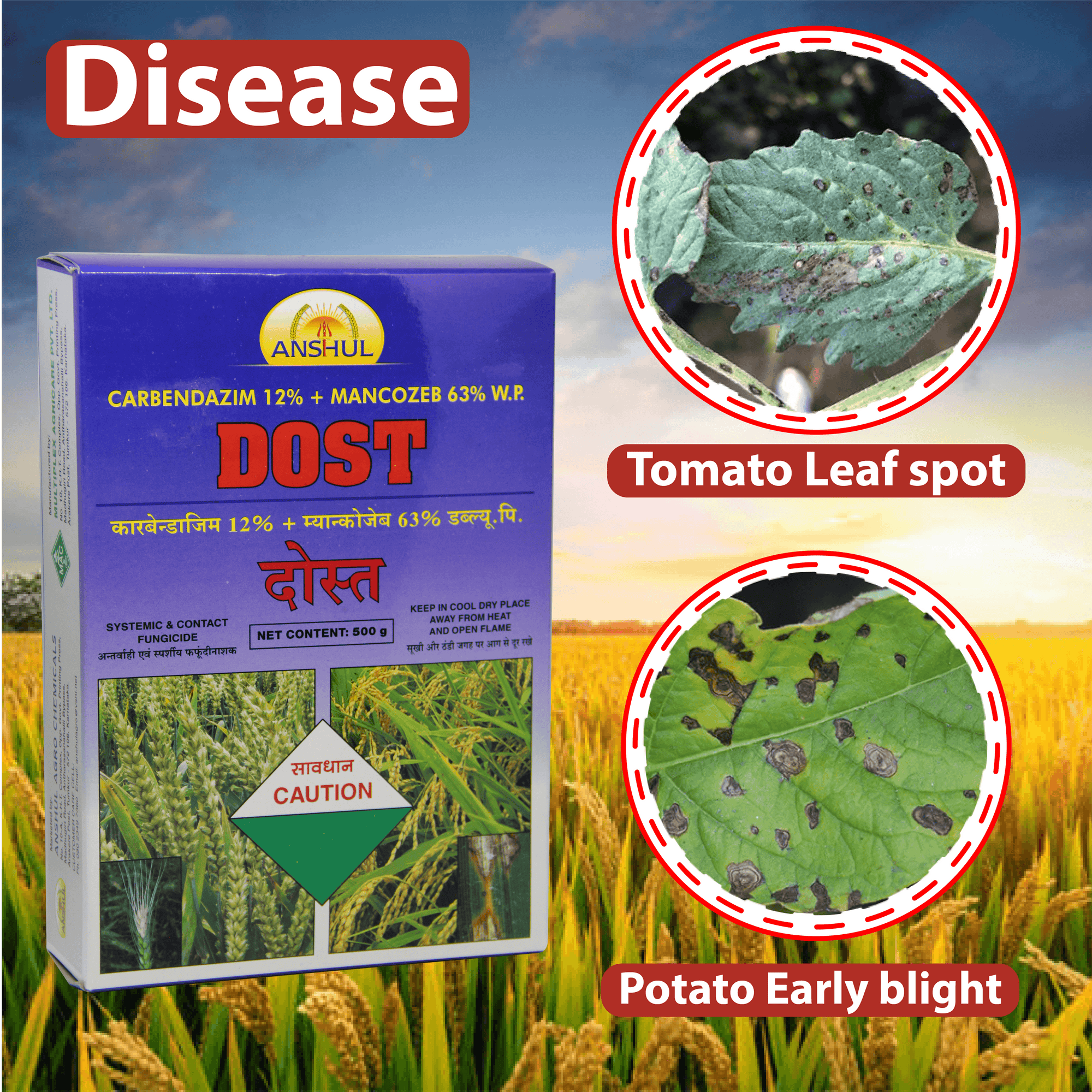 Anshul Dost (Carbendazim 12% + Mancozeb 63%) Fungicide Diseases