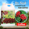 Dr. Soil Coffee Special Liquid Consortia - 5 LT