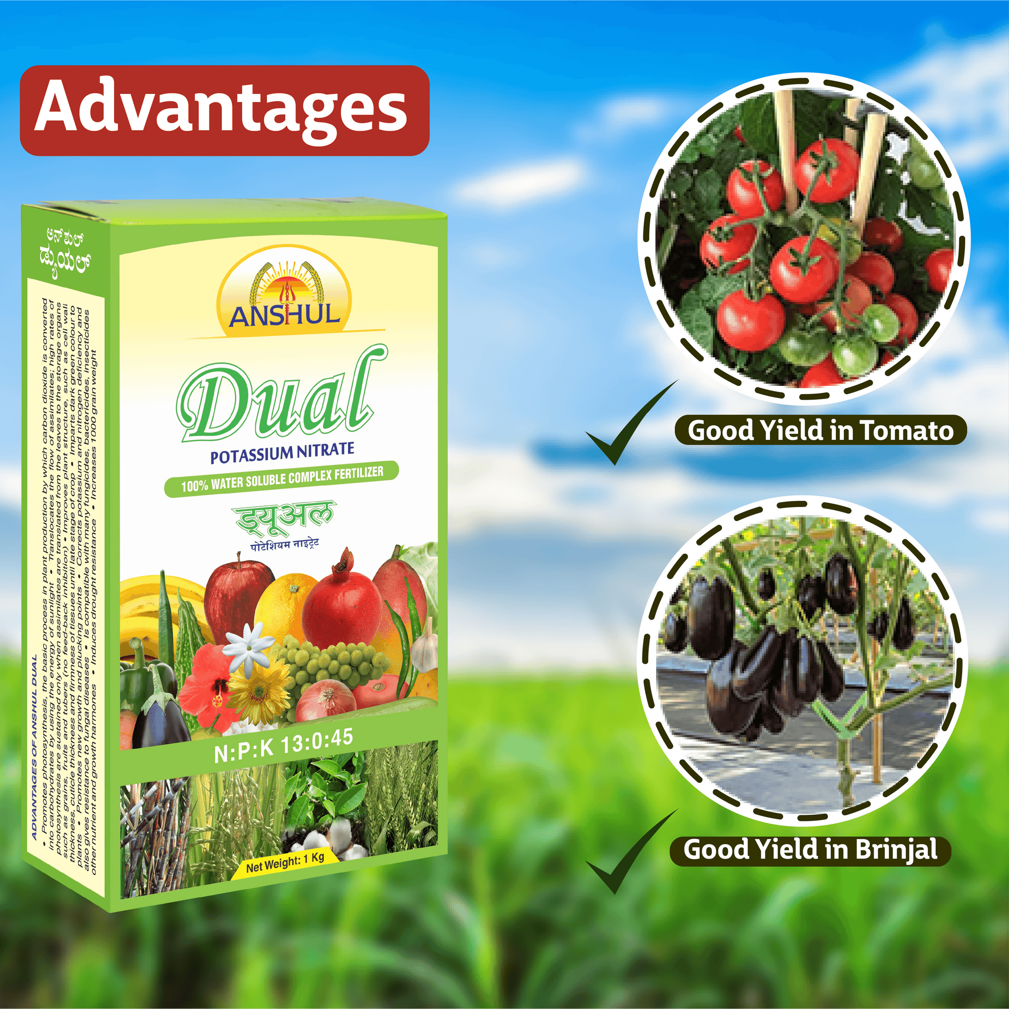 Anshul Dual (13:00:45) Fertilizer - 1 KG crops