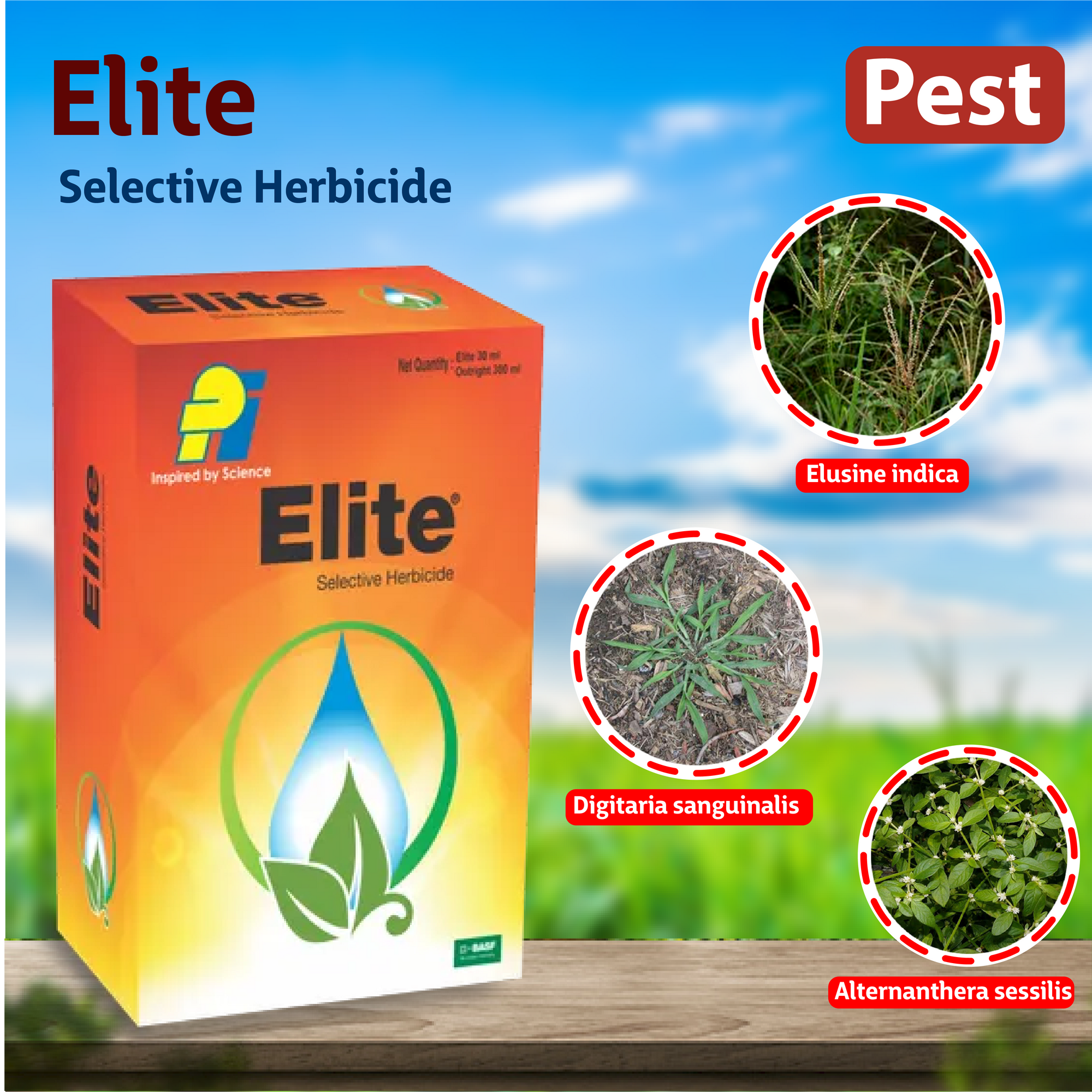 PI Elite Herbicide - 75 ML Weeds