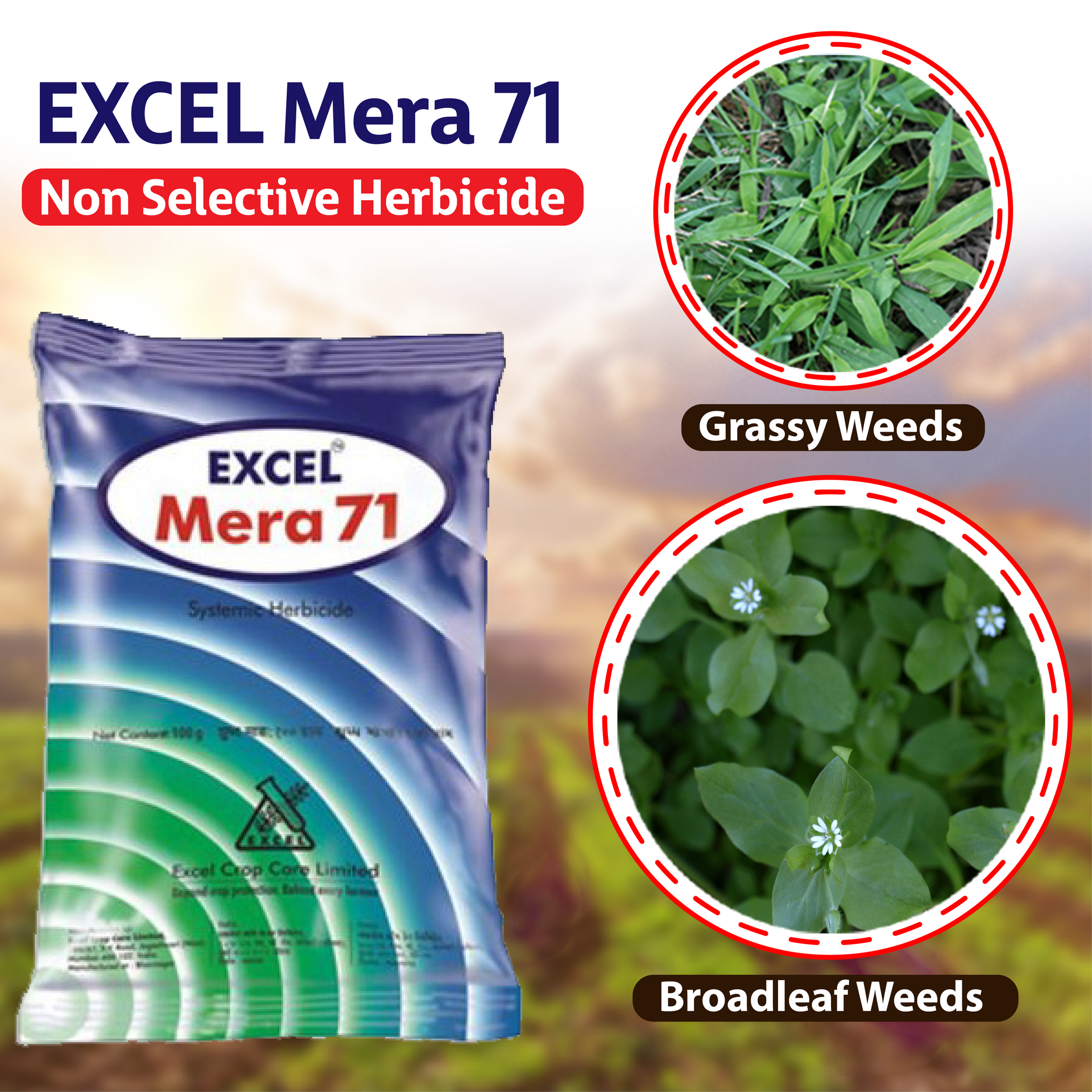 mera 71 herbicide Excel Mera 71 Herbicide ( Glyphosate 71% Sg)