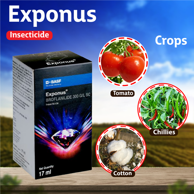 Buy Bayer Solomon Insecticide Online at Agriplex India