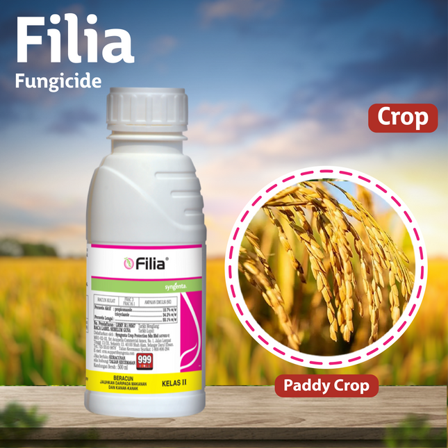 Syngenta Filia Fungicide Crops
