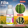Syngenta Filia Fungicide Application