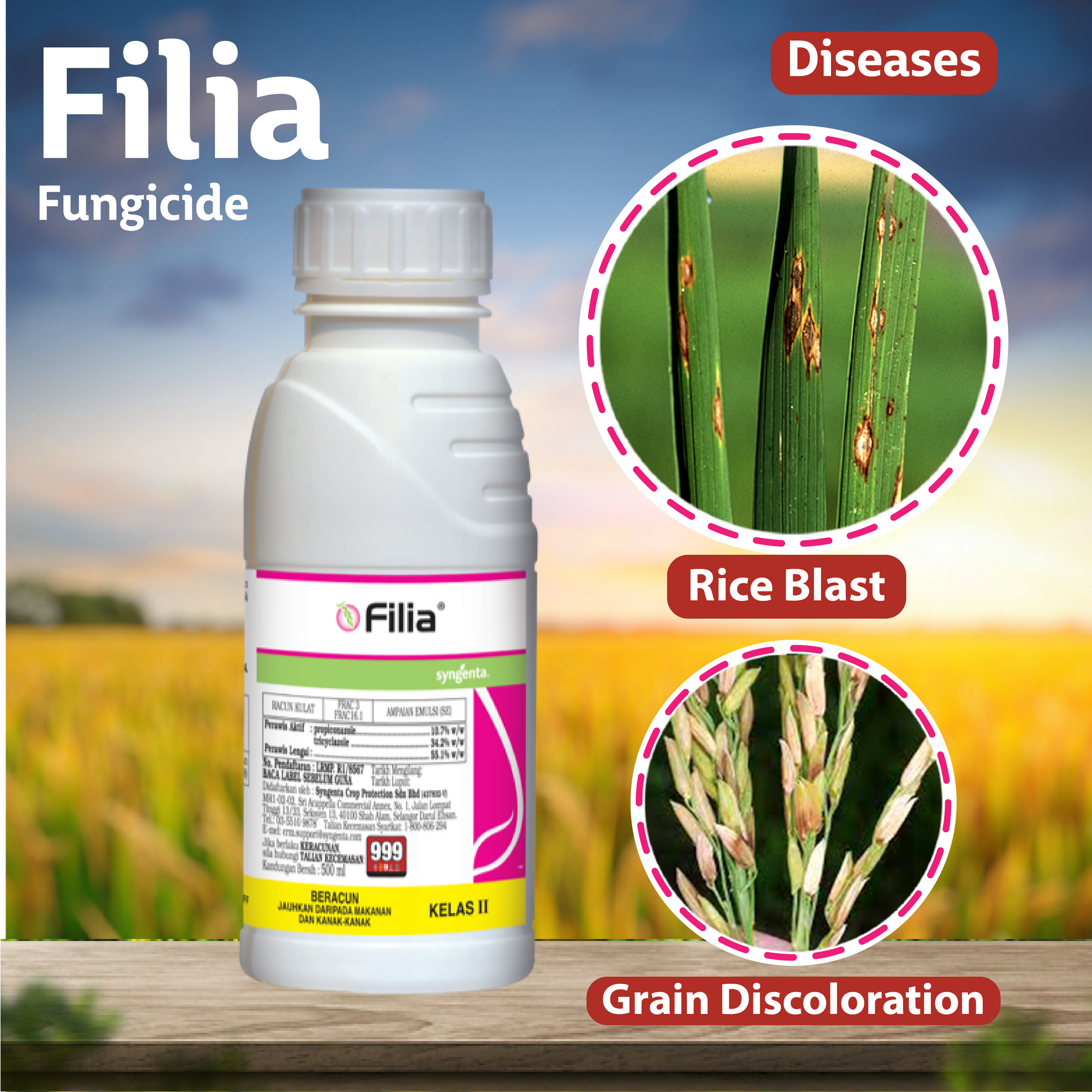 Syngenta Filia Fungicide Application