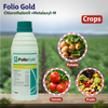 Syngenta Folio Gold Fungicide Crops