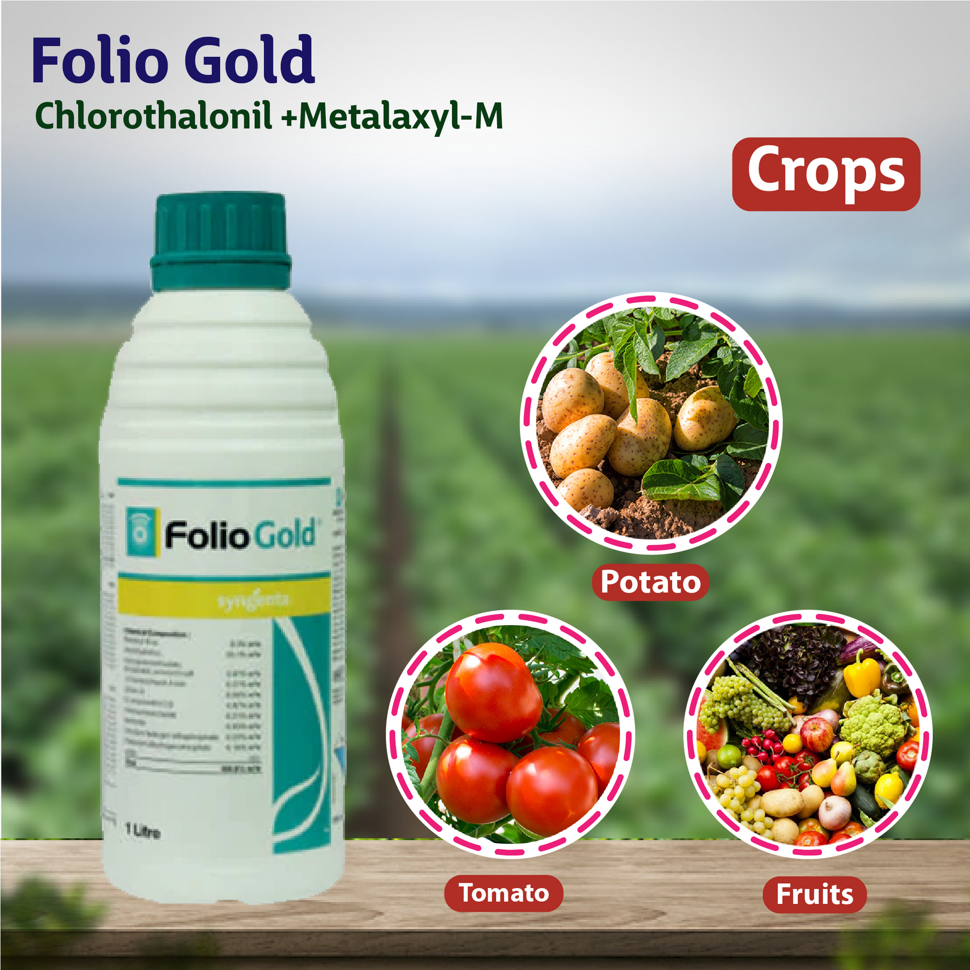 Syngenta Folio Gold Fungicide Crops