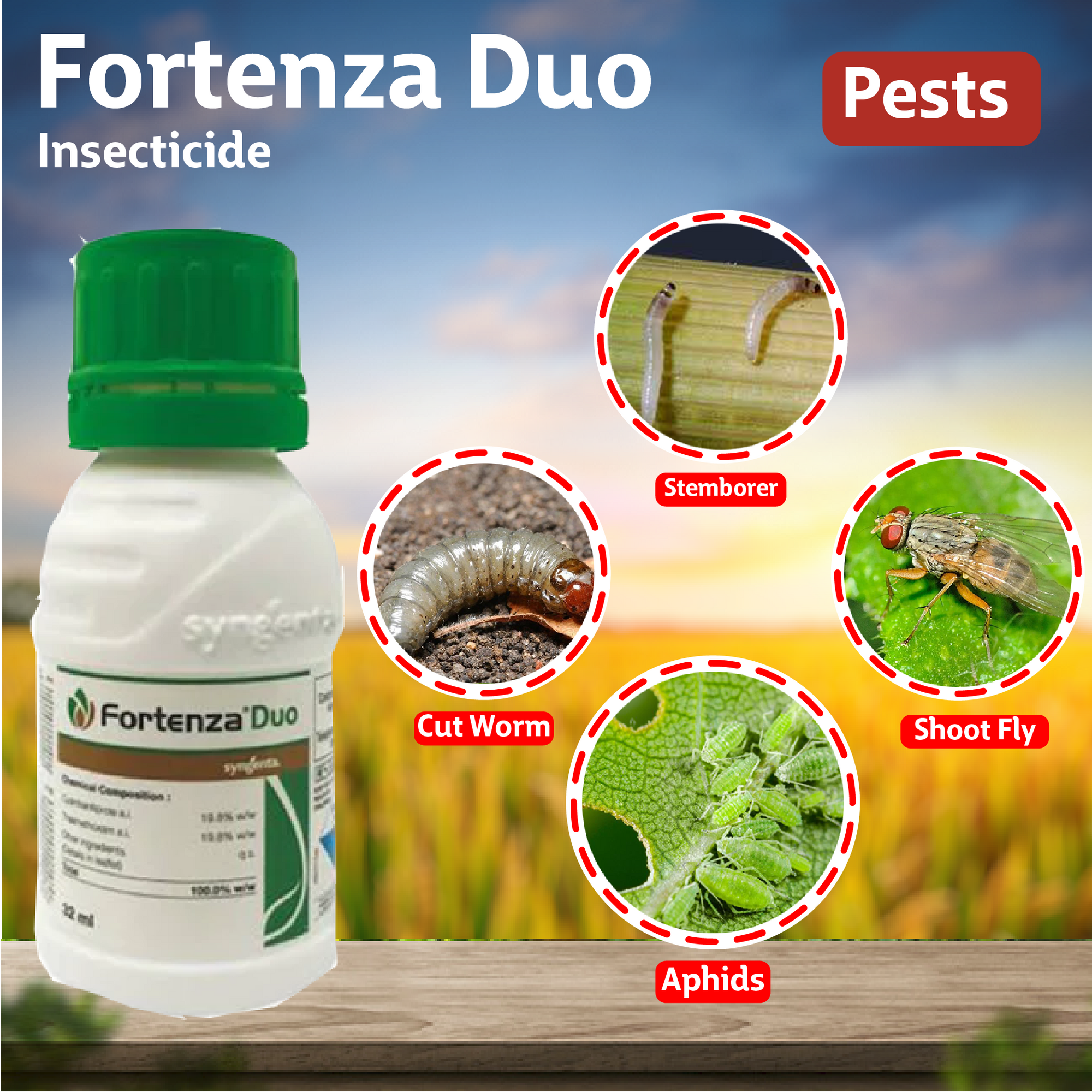 Syngenta Fortenza Duo Insecticide
