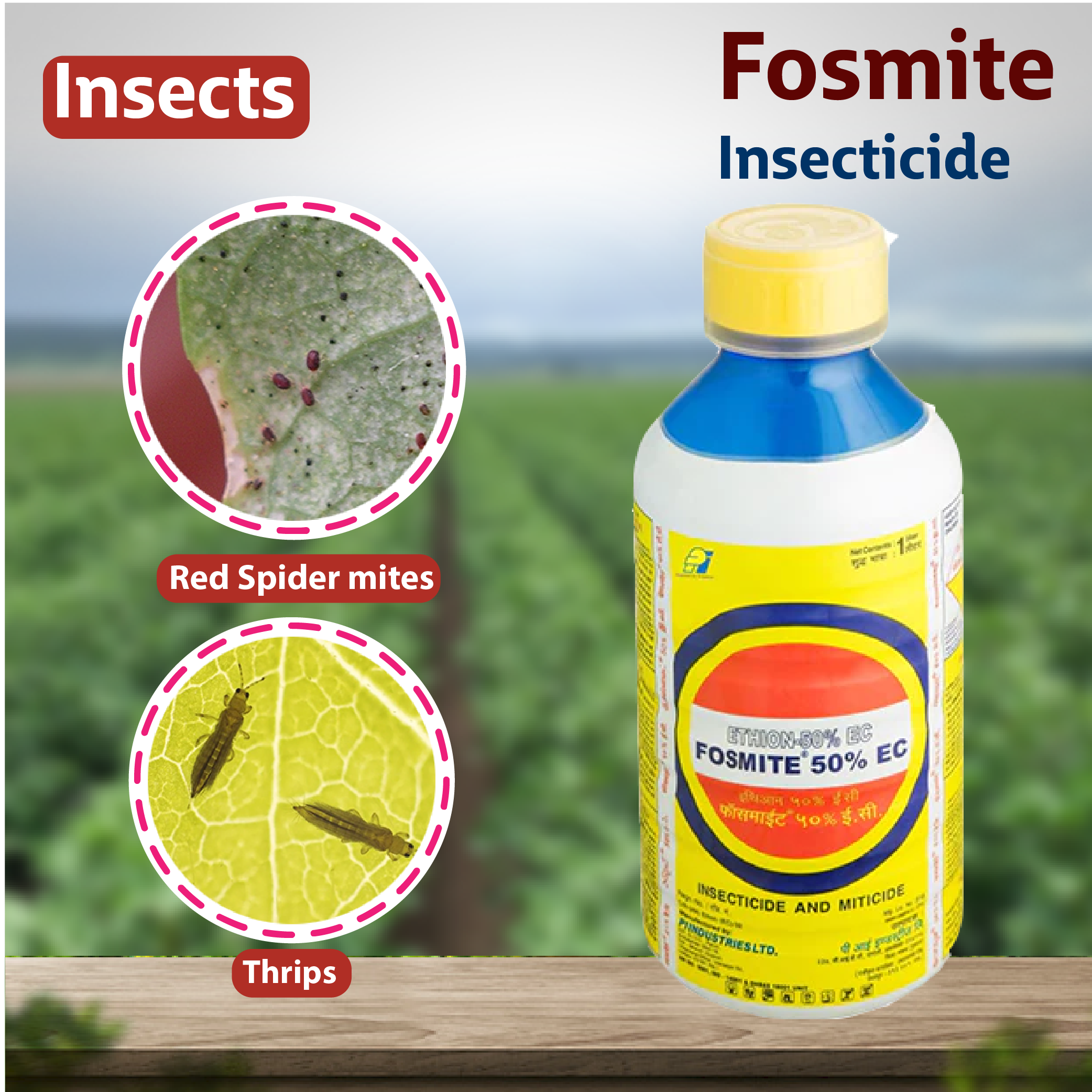 PI Fosmite Insecticide – Agriplex