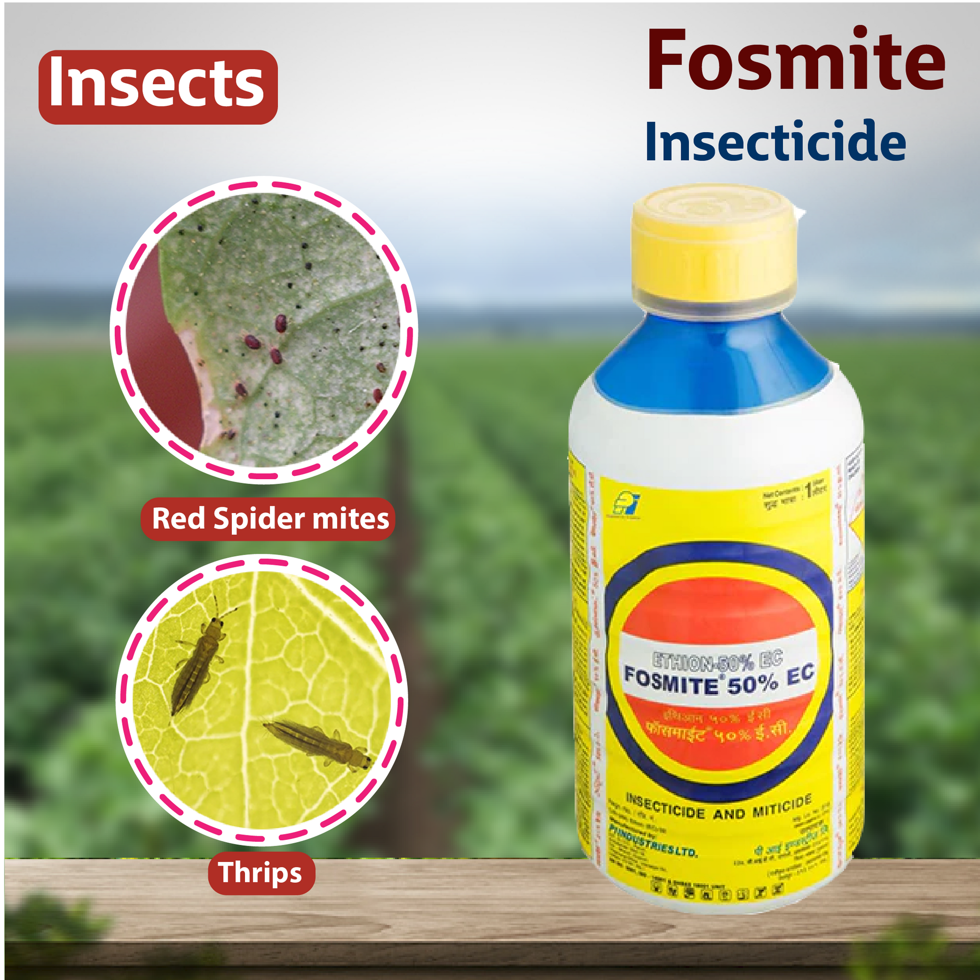 PI Fosmite Insecticide Insects