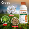 Syngenta Fusiflex Herbicide Crops