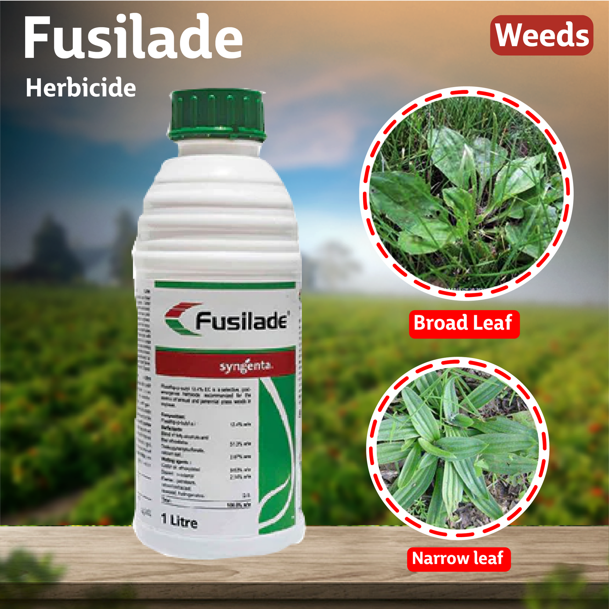 Syngenta Fusilade Herbicide