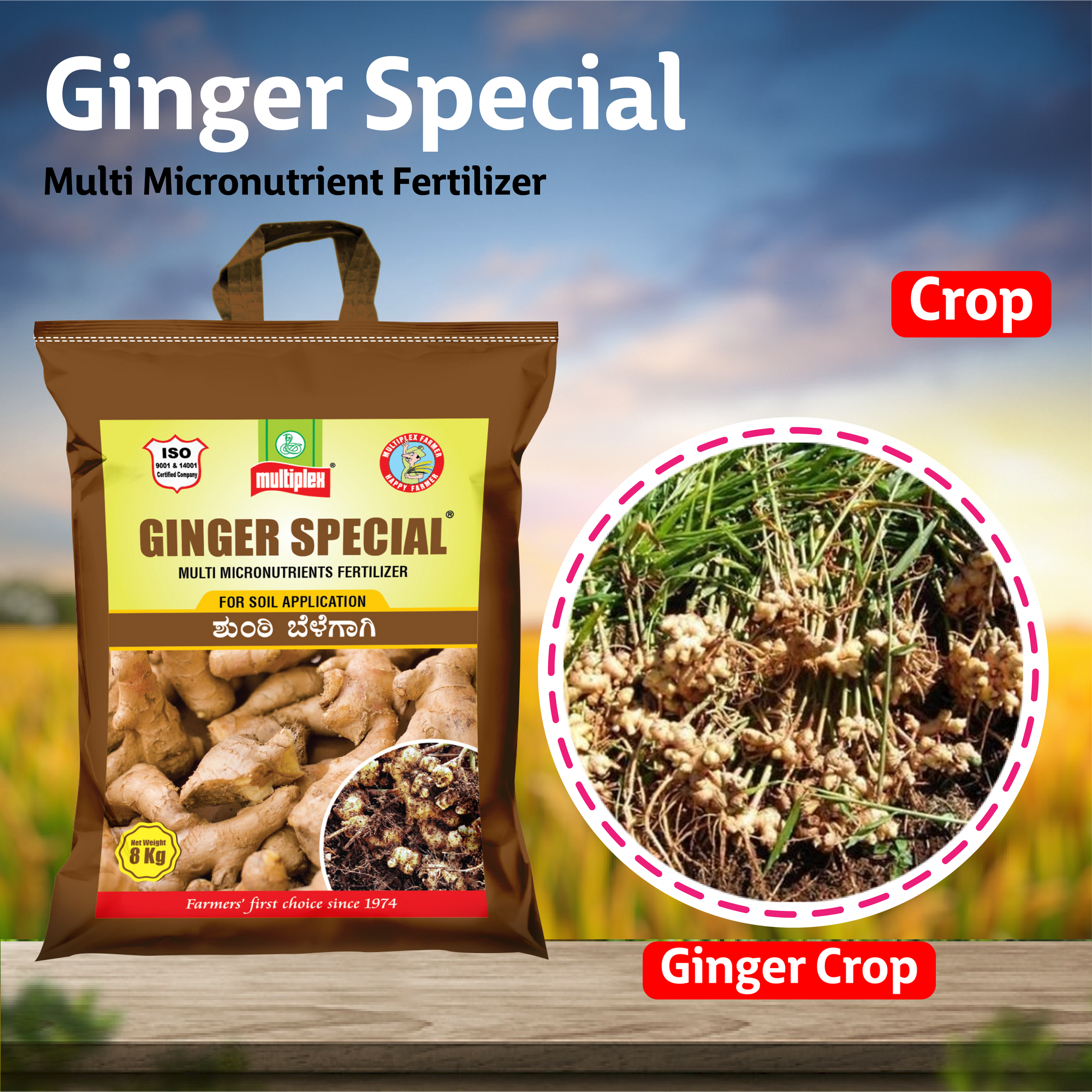 fertilizer for ginger plants Multiplex Ginger Special (Multi Micronutrient Fertilizer)