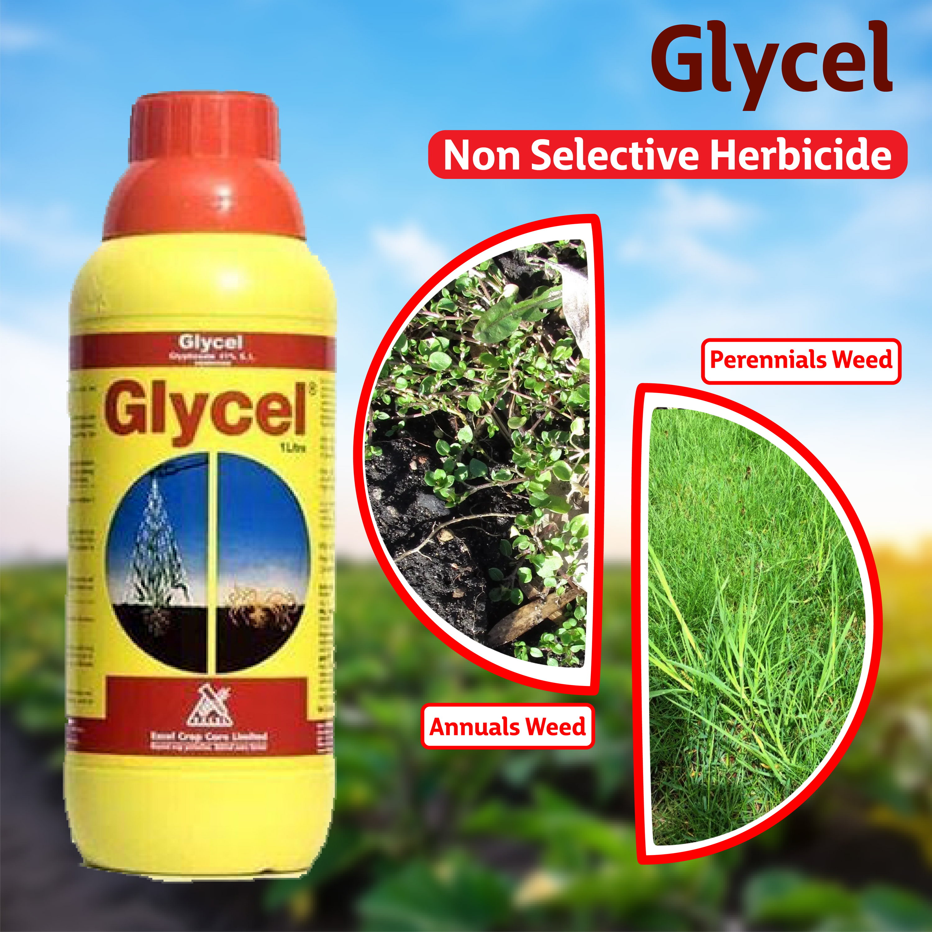 glycel herbicide Sumitomo Glycel Herbicide – Agriplex