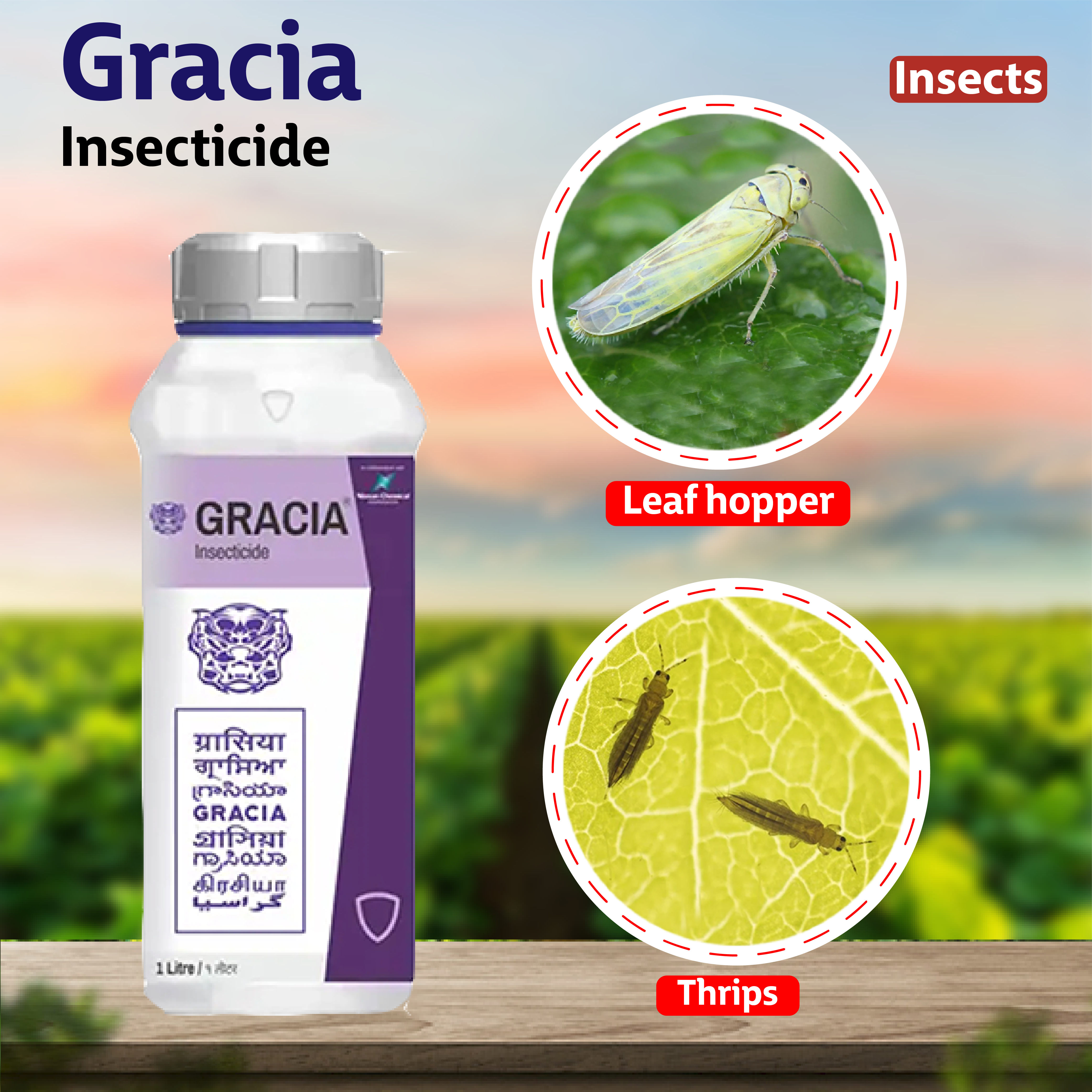 Godrej Gracia Insecticide - 160 ML – Agriplex