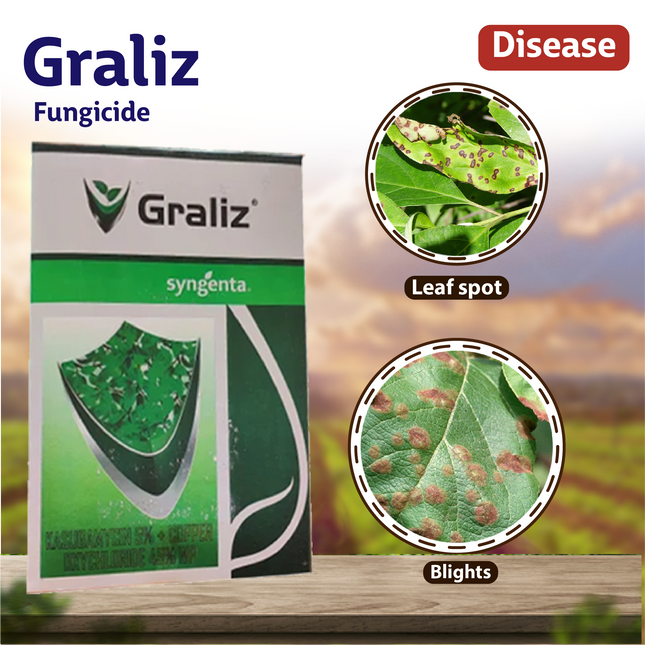 Syngenta Graliz Bactericide