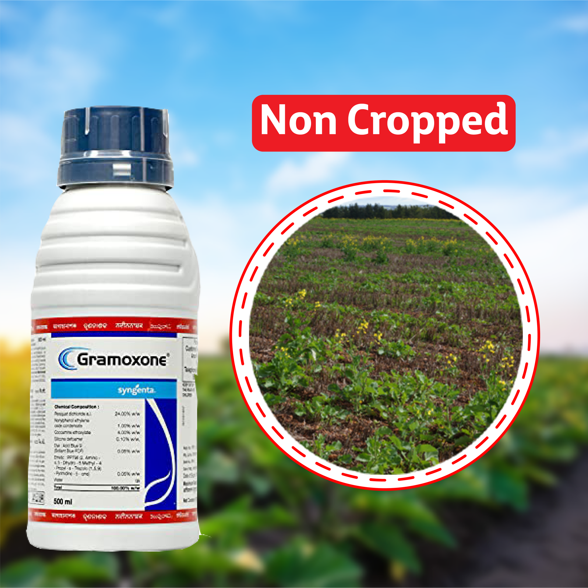 Syngenta Gramoxone Herbicide - 1LT