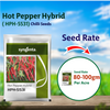 Syngenta HPH - 5531 Chilli Seeds - 1500 SEEDS