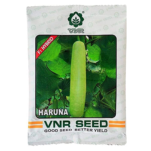 VNR Haruna Bottle Gourd - 50 GM