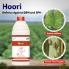 Samruddi Hoori Dbm/Bph Control - Agriplex