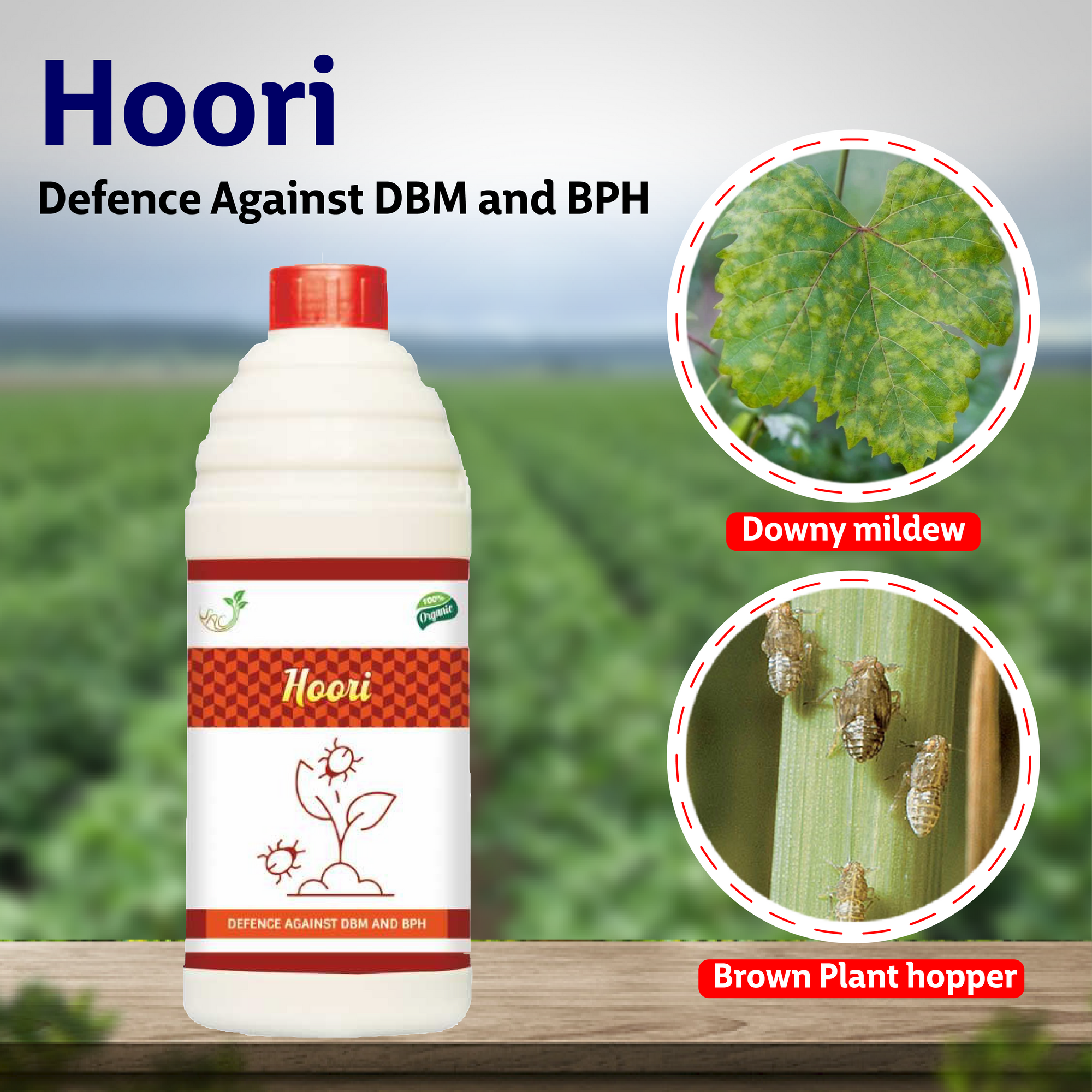 Samruddi Hoori Dbm/Bph Control - Agriplex
