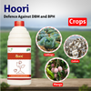 Samruddi Hoori Dbm/Bph Control - Agriplex