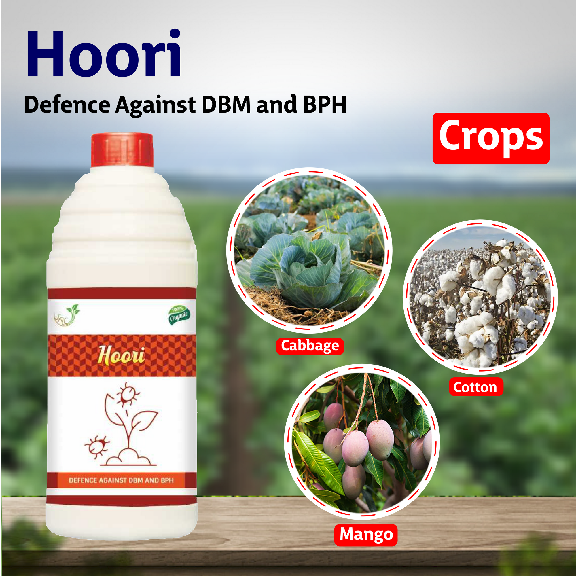 Samruddi Hoori Dbm/Bph Control - Agriplex