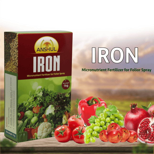 Anshul Iron (Ferrous Sulphate 19%) - 1 KG