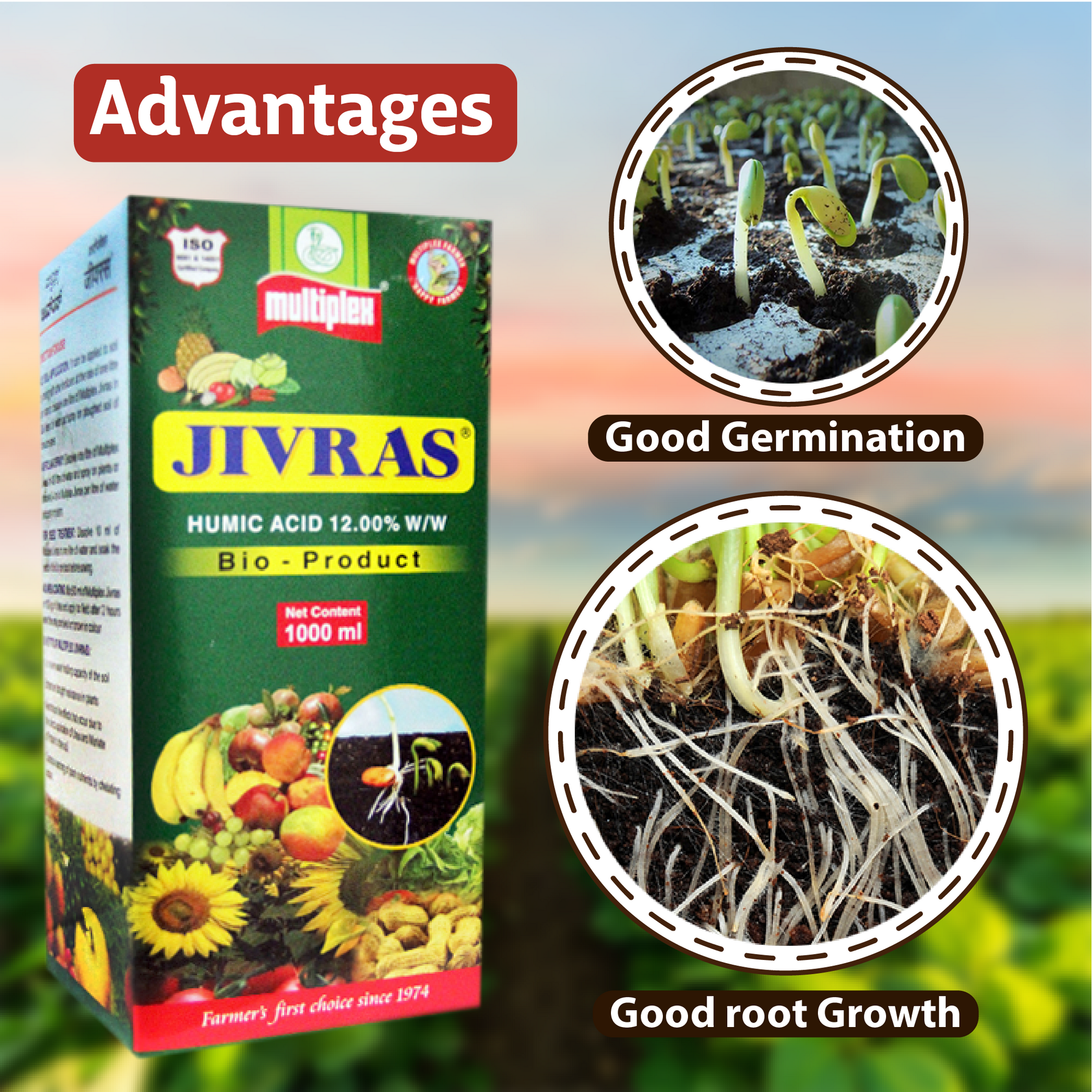 Multiplex Jivras Benefits