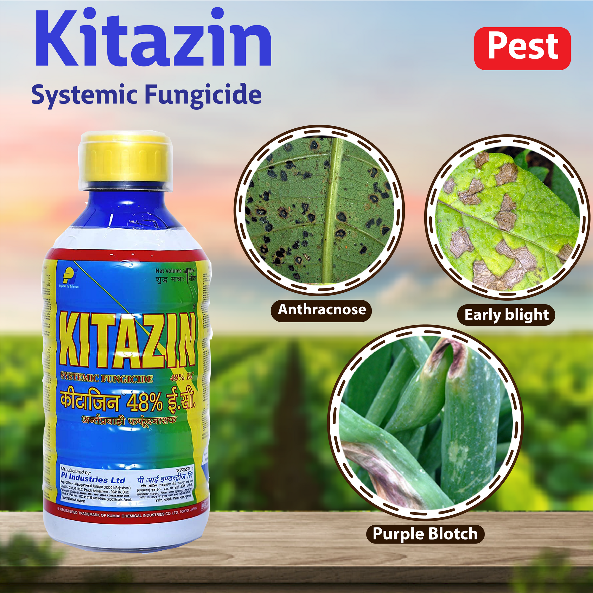 PI Kitazin Fungicide - 100 ML Diseases