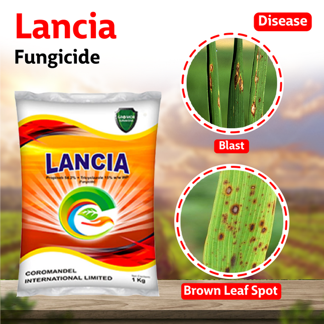 Coromandel Lancia Fungicide