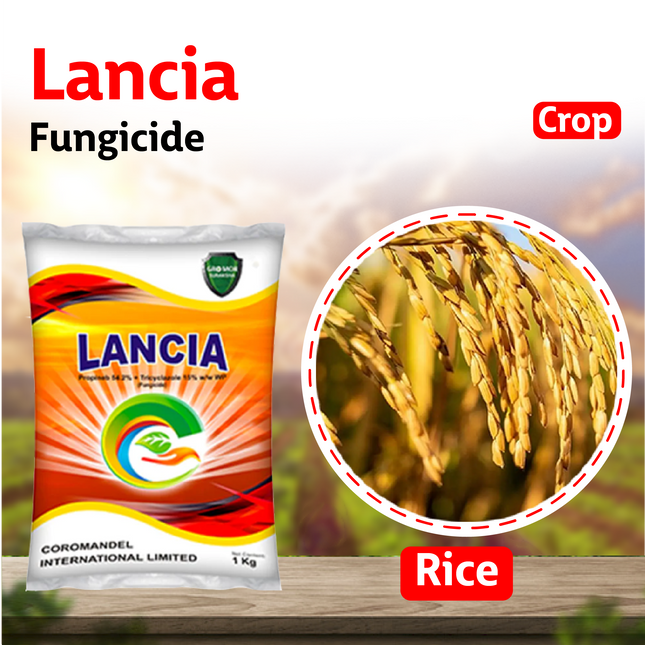 Coromandel Lancia Fungicide Crop