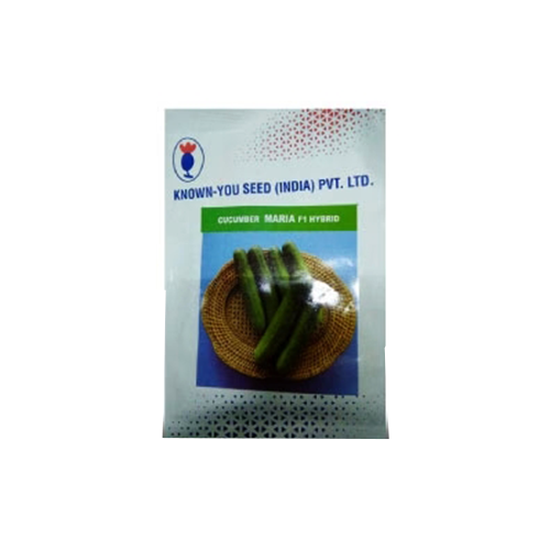 Known You Maria F1 Hybrid Cucumber Seeds - 10 GM (Pack of 2) - Agriplex