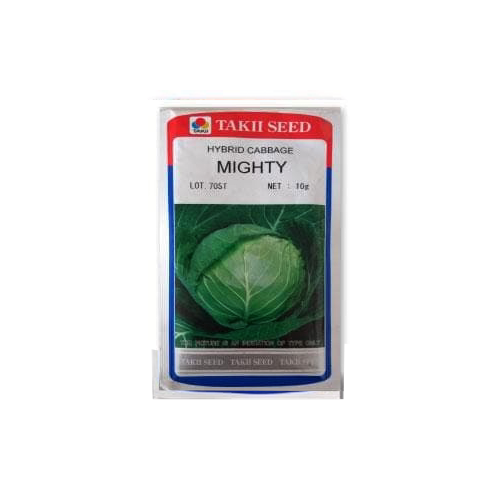 Taki Mighty Cabbage F1 Seeds - 10 Gm - Agriplex