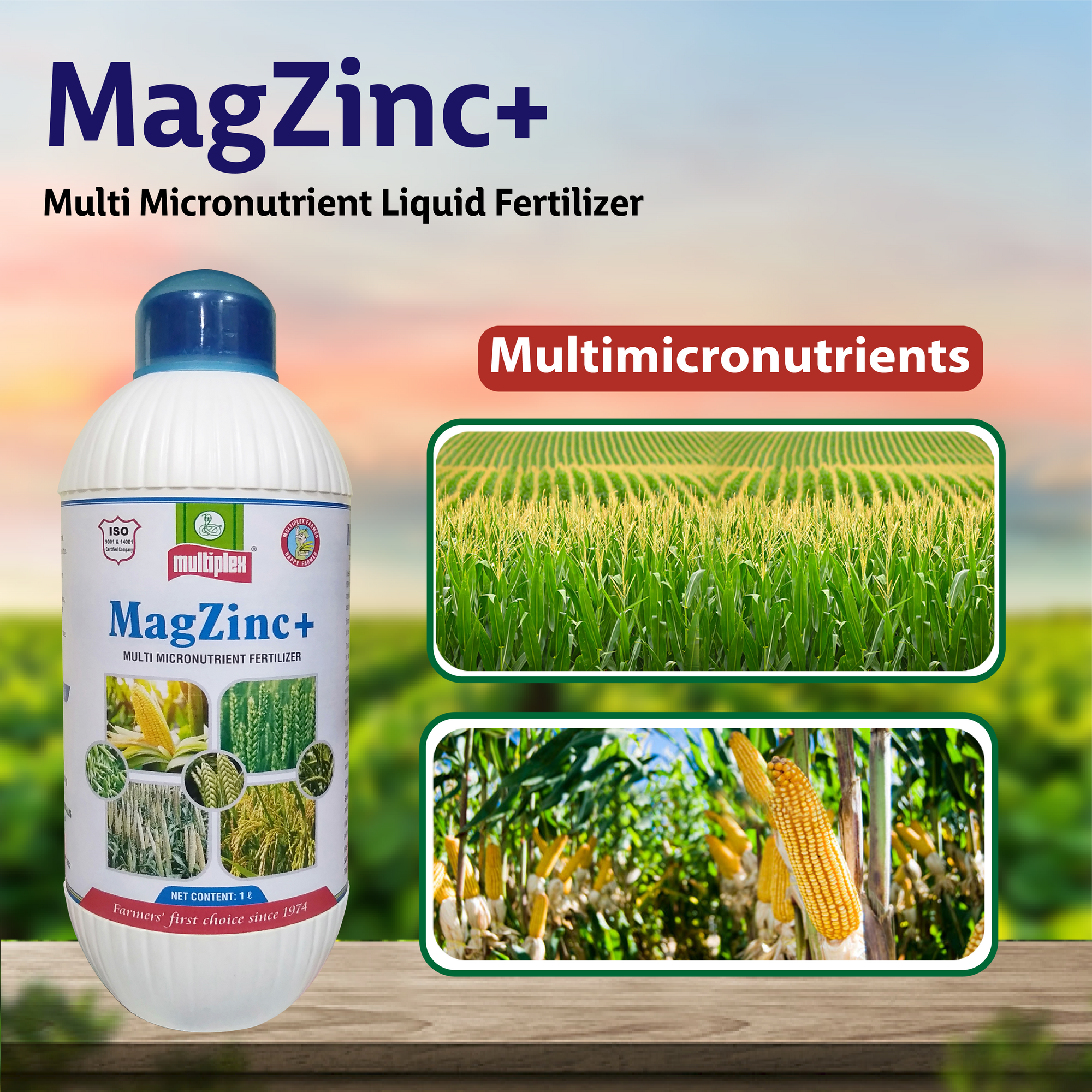 Multiplex MagZinc+ (Multi Micronutrient Liquid Fertilizer)