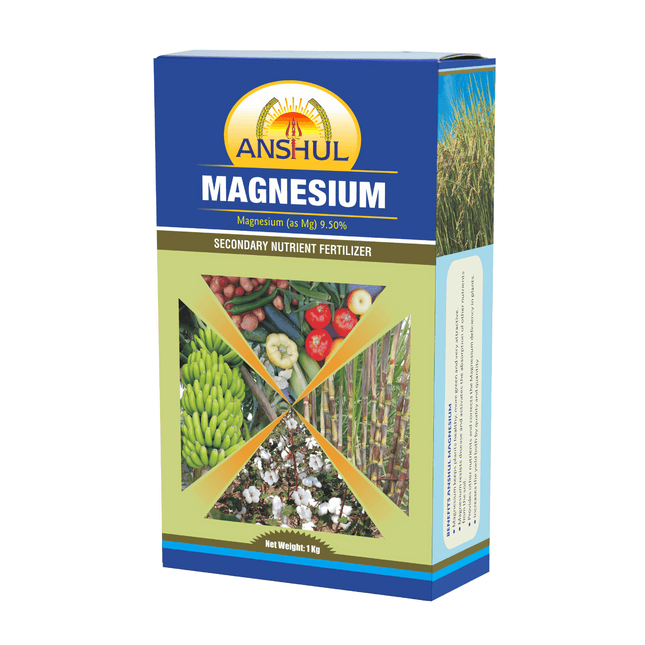 Anshul Magnesium (Magnesium Sulphate (Mg) 9.5 %) - 1 kg