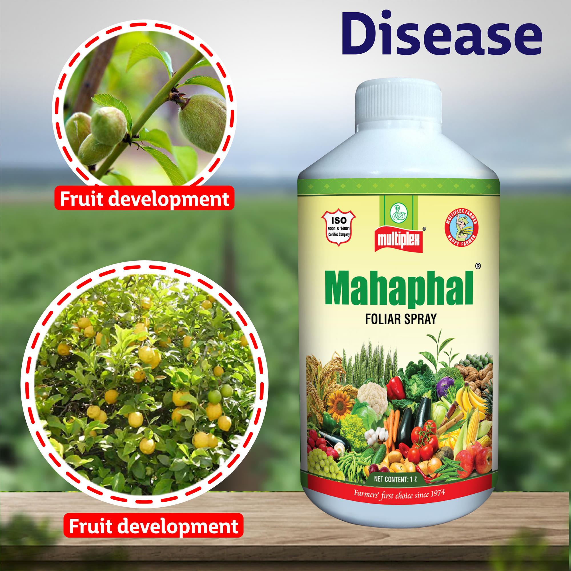 Multiplex Mahaphal (Bio Stimulant)
