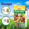 Anshul Major Max (19:19:19) - 1KG Dosage