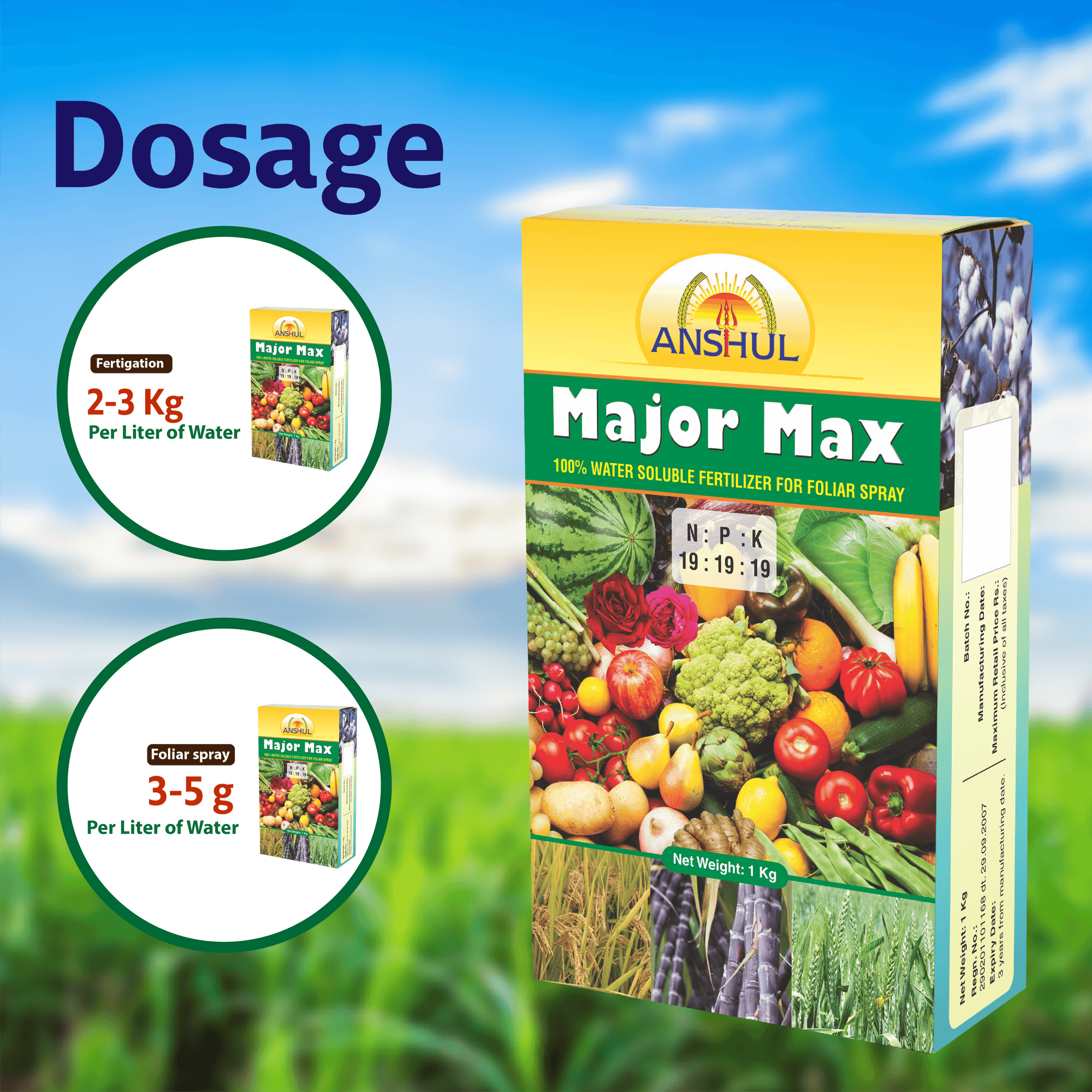 Anshul Major Max (19:19:19) - 1KG Dosage